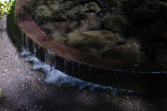 湧水の公園-⑤