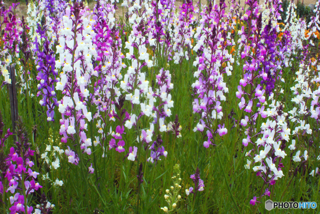 SIGMA SUPER-WIDE 1:2.8 f=24mmと言う選択⑥