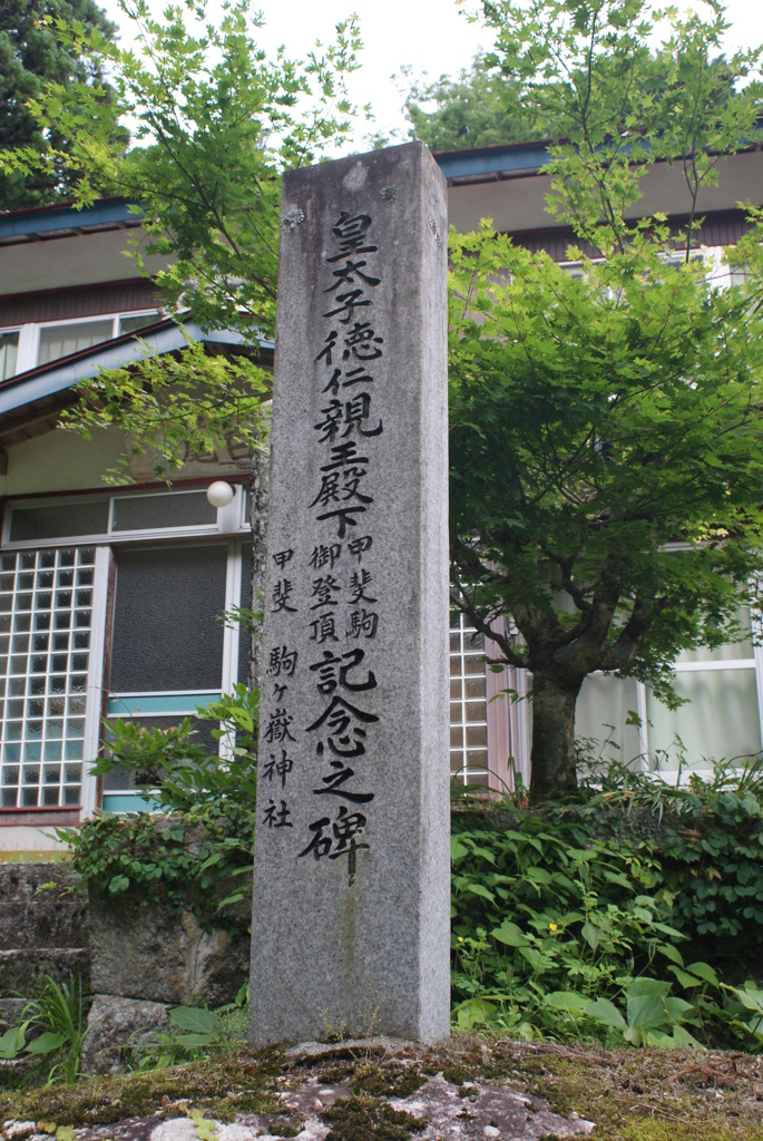 白州の森と尾白川渓谷-⑫