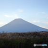 未開の原野に秋が来た-④