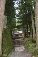白州の森と尾白川渓谷-⑩