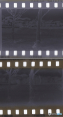 超古いTXで撮った写真のネガ③　上キエフⅡ、下レチナ1ｂ　