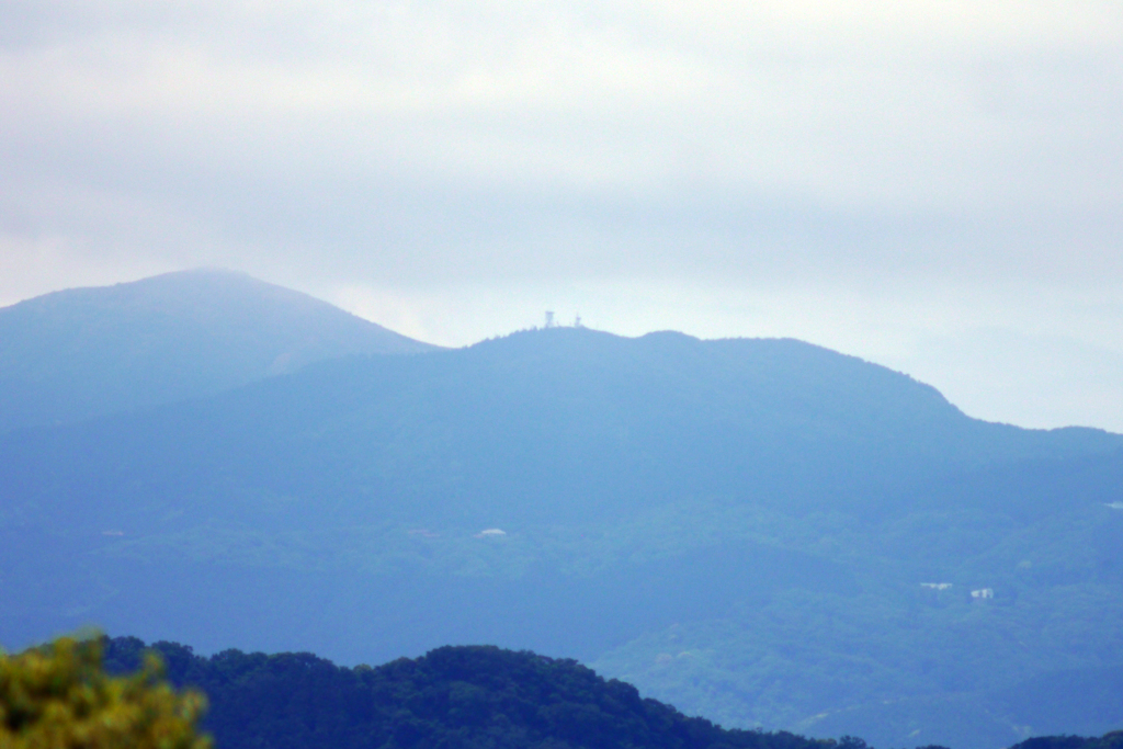 今日のお散歩の友は 200523（風景編）-②