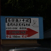 今日のお散歩の友は 200517-②
