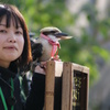 競演　⑧