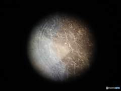 カメラマンの敵！