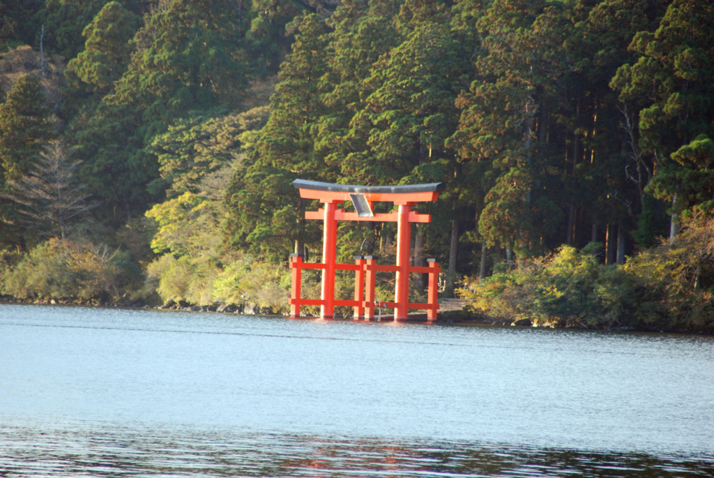 こがね色に輝く湖畔-➃