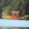 こがね色に輝く湖畔-➃