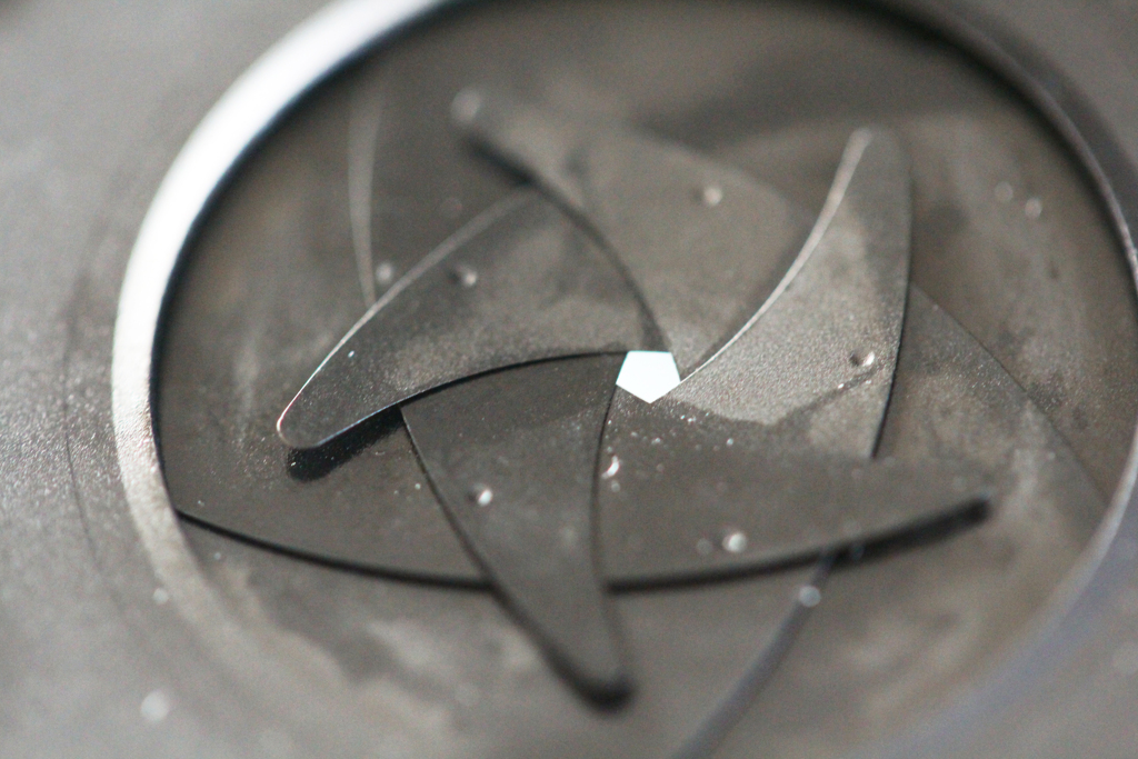 助けた亀等（カメラ）に連れられて-④