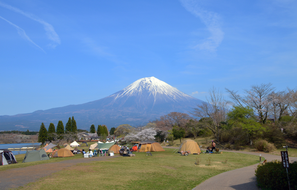 ブームは去りつつ・・？