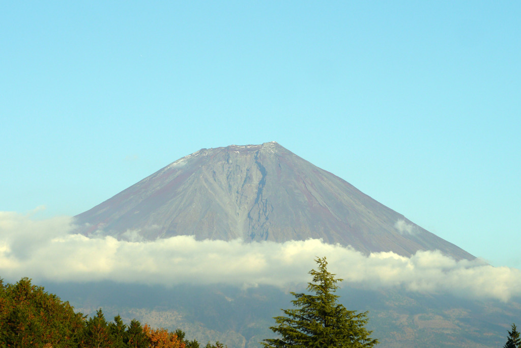 今日の富士山を田貫湖から望む-➃