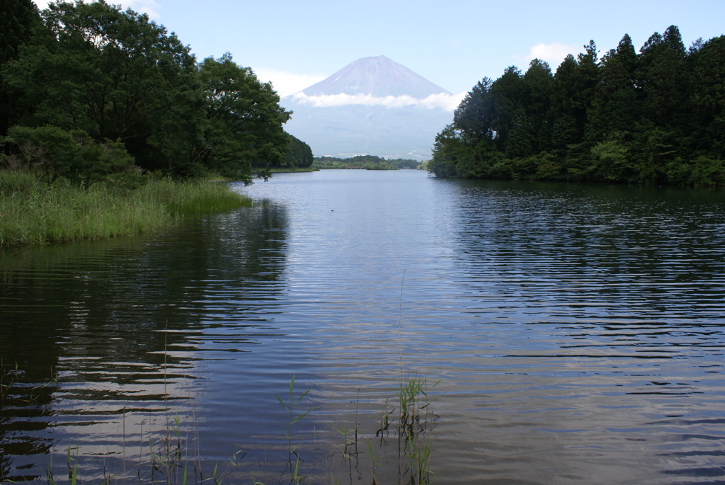 田貫湖周遊200702・人間＆動物編-⑥