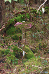 裾野市須山・水が塚公園周辺ウオーキング-③