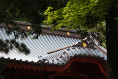 伊豆山神社-③