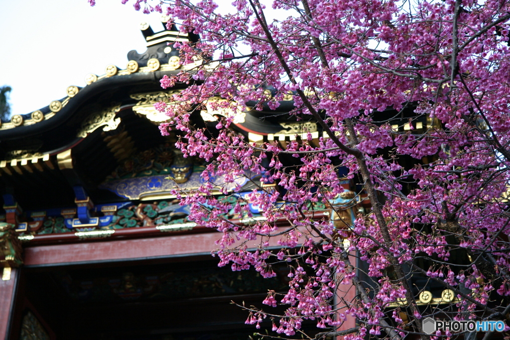 久能山東照宮 2006-➁