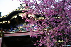 久能山東照宮 2006-➁