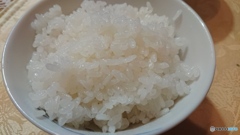 わさび丼④