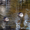 白滝公園にて②