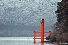 雪の平和鳥居
