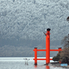 雪の平和鳥居