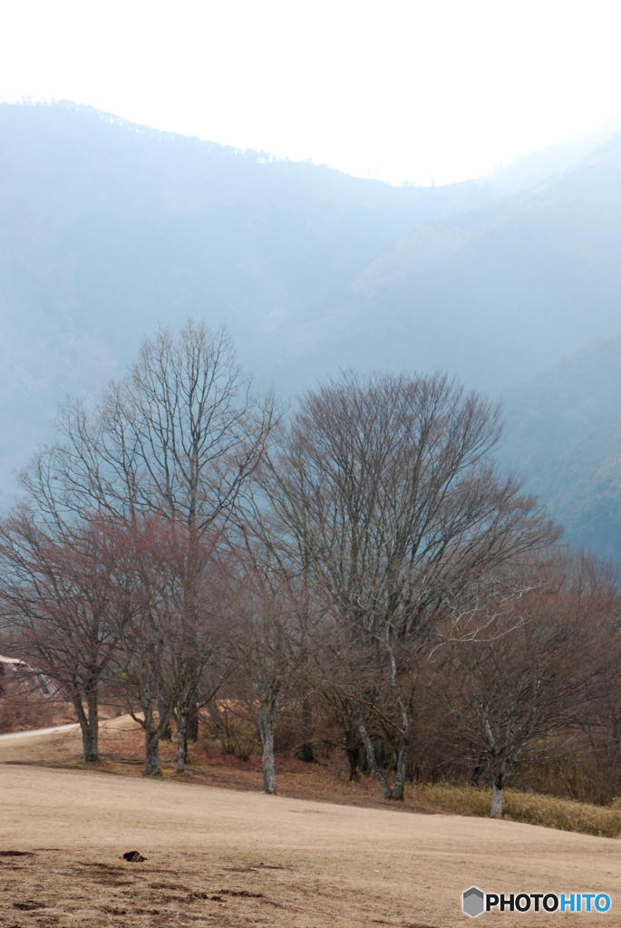 春はそこまで②