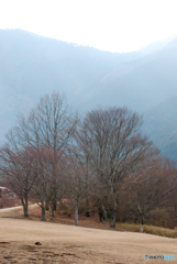 春はそこまで②