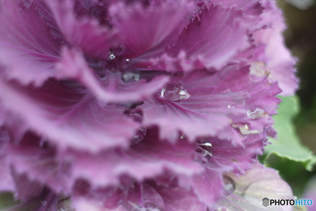 SIGMA SUPER-WIDE 1:2.8 f=24mmと言う選択③