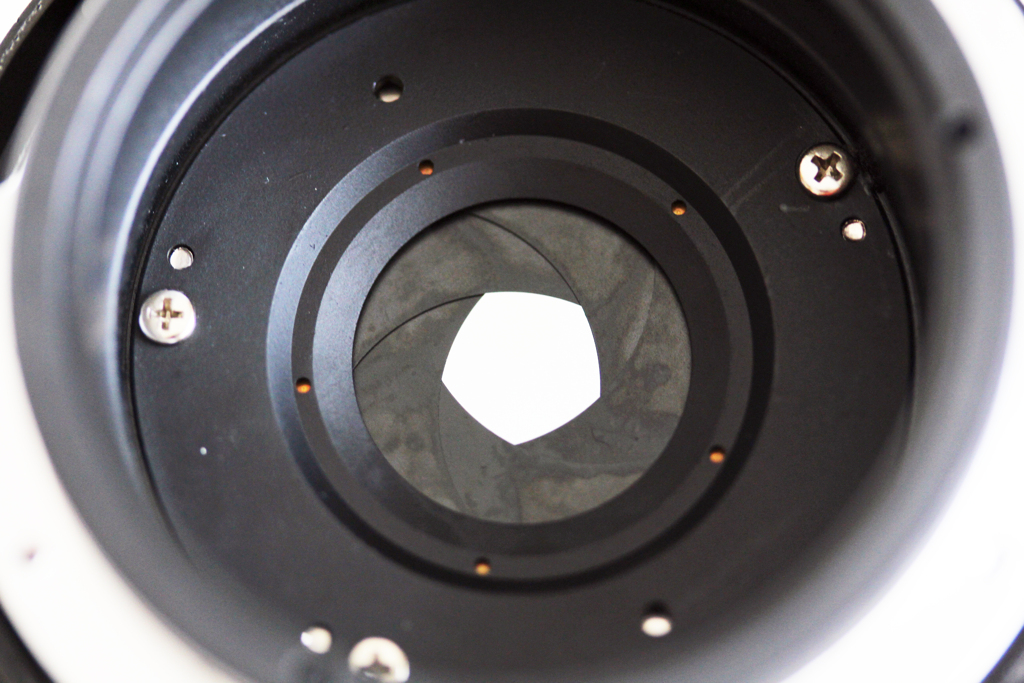 助けた亀等（カメラ）に連れられて-②