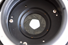 助けた亀等（カメラ）に連れられて-②