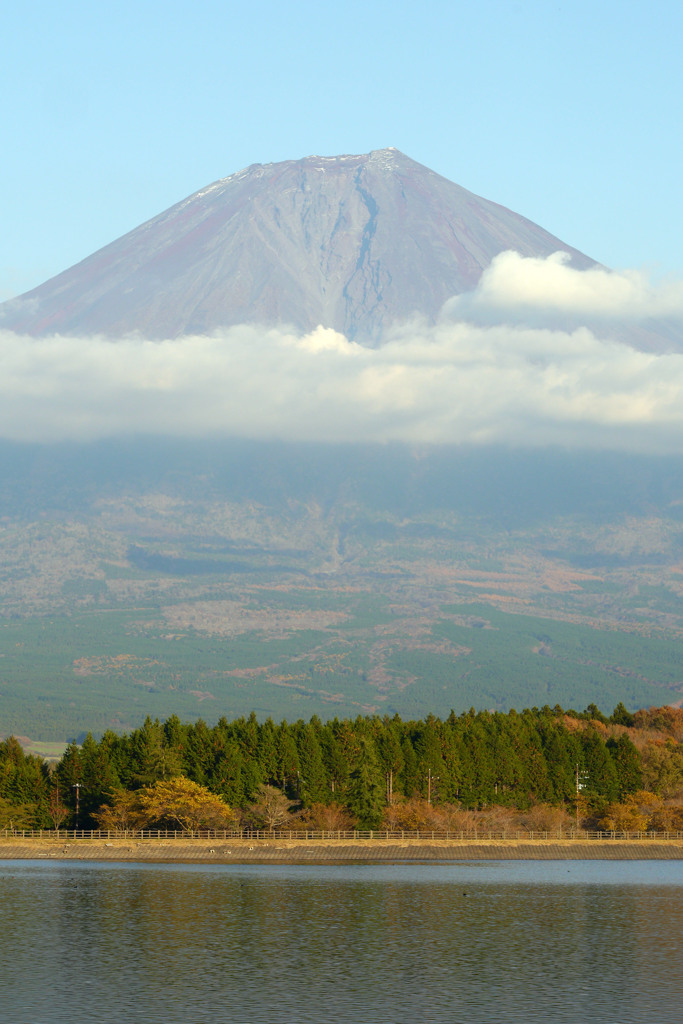 今日の富士山を田貫湖から望む-➄