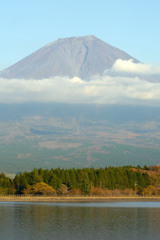 今日の富士山を田貫湖から望む-➄