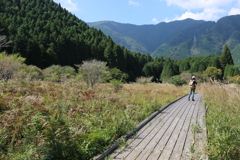 小田貫（こたぬき）湿原-②