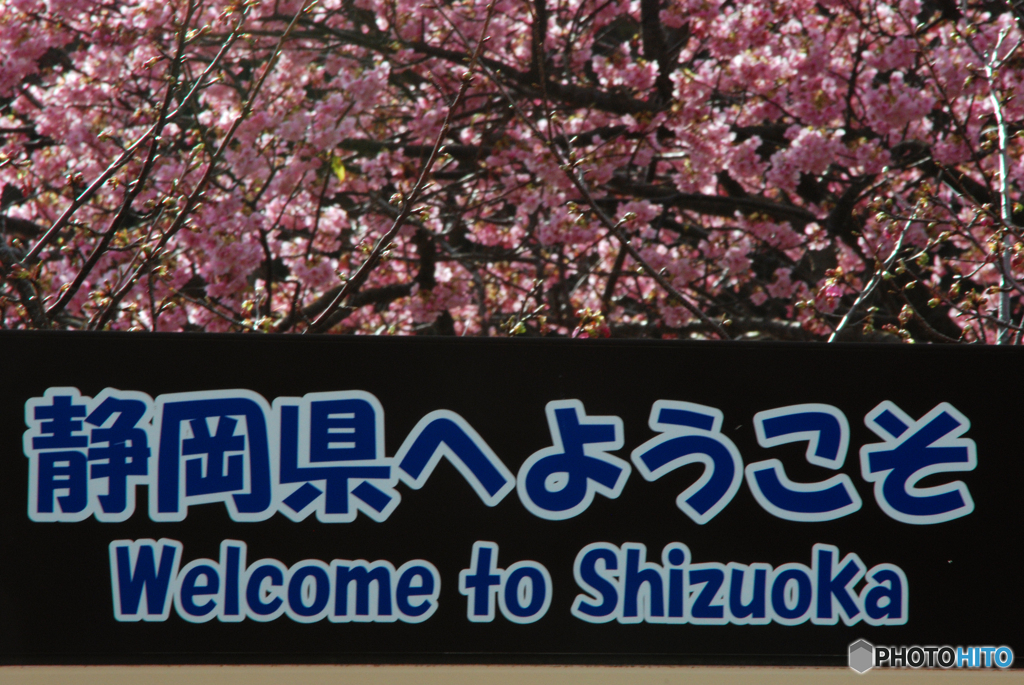 観光に来て下さい