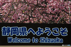 観光に来て下さい