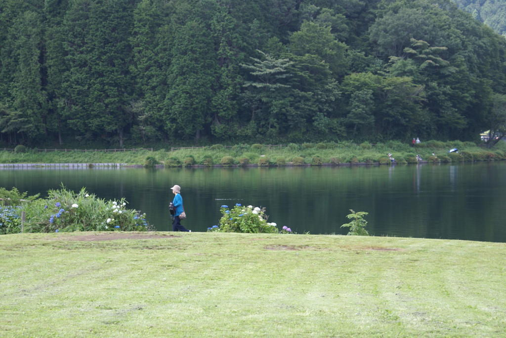田貫湖周遊200702・人間＆動物編-⑨