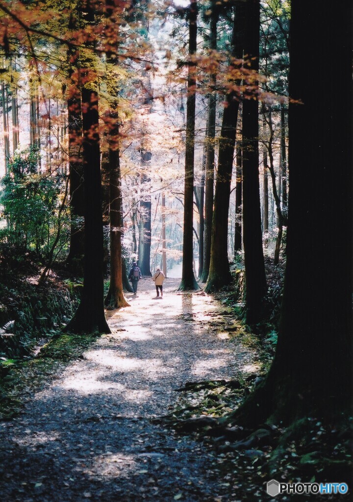秋の高山寺　⑤