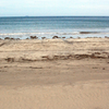 弓ヶ浜ウオーキング200527-⑥