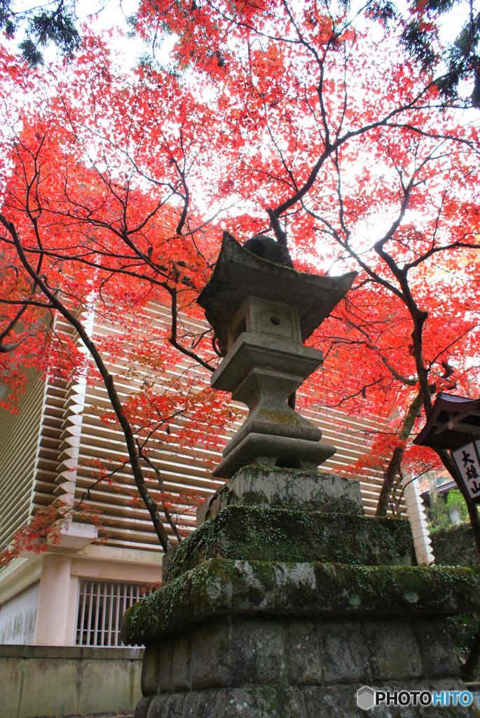 大雄山最乗寺2011-③