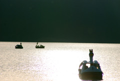 こがね色に輝く湖畔-②