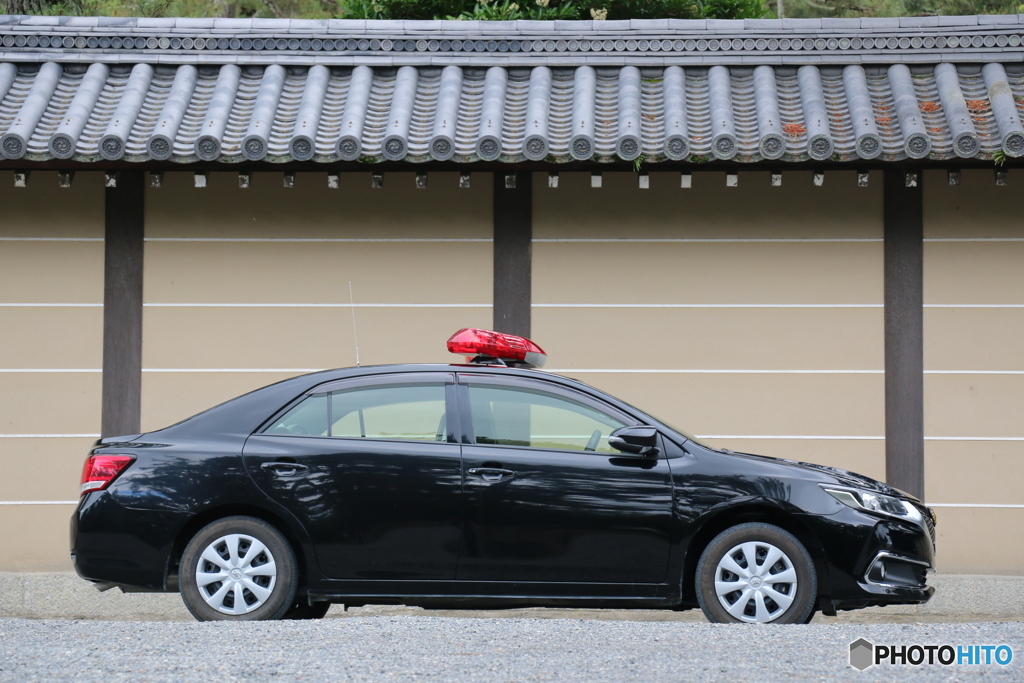 ここはどこ？私は誰？