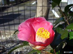 白滝公園にて④