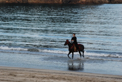 弓ヶ浜海水浴場に騎馬武者現る！-⑩