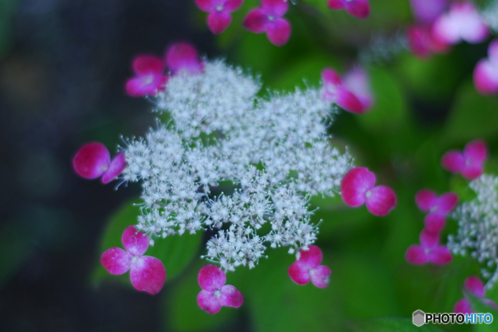 心象風景　♪赤い袖に　白い雨…♪