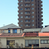 ほっとする空き地