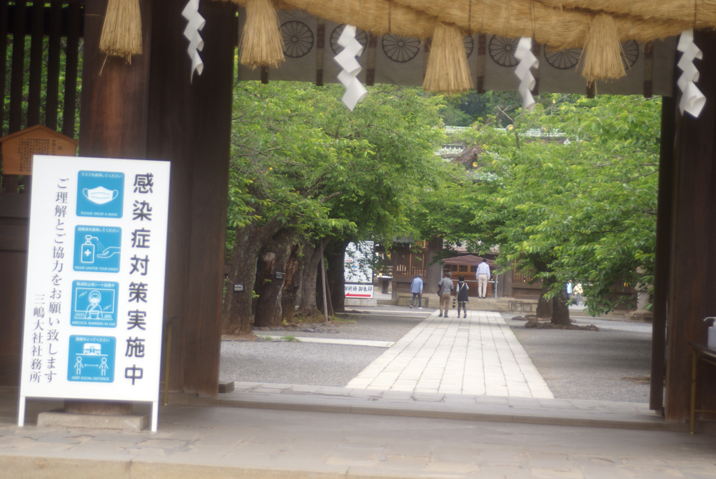 馬には乗ってみよ人には添うてみよレンズは使ってみよう＾＾