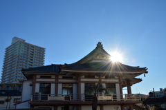 お寺とマンションの街・三島③