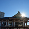 お寺とマンションの街・三島③