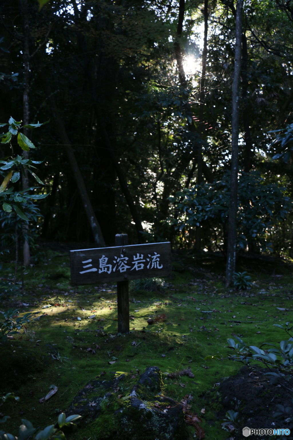 楽寿園・三島の清き流れの源‐①