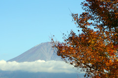 今日の富士山を田貫湖から望む-➁