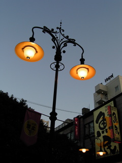 The City Lights at Shizuoka 2006-③